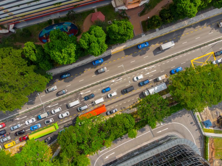 I noticed there are some grown plantings along the roadside and pedestrian crossings as it has often obstructed our line of sight while driving. I would like to know if there are any guidelines for plantings in Singapore and how can we get it rectified on such issues?