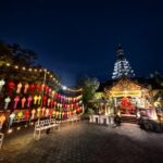 IMG_20250105_182752