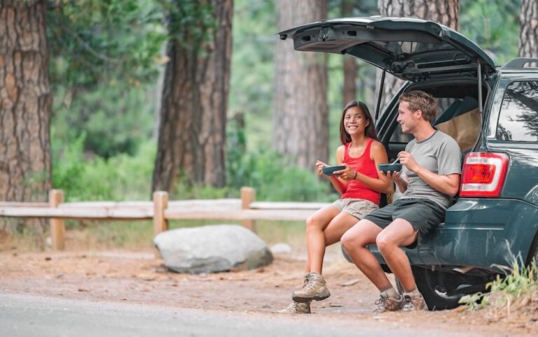 Drive Safe, Snack Smart: Healthy and Delicious Options for Long Drives